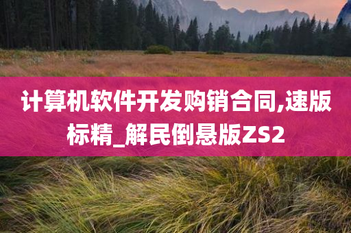 计算机软件开发购销合同,速版标精_解民倒悬版ZS2