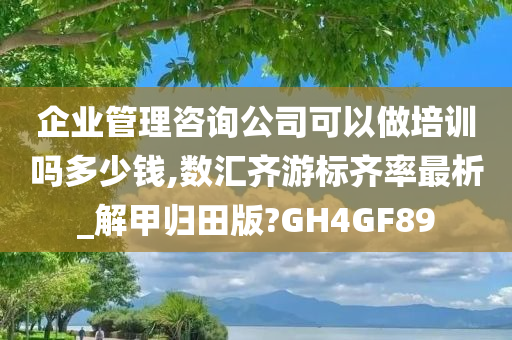 企业管理咨询公司可以做培训吗多少钱,数汇齐游标齐率最析_解甲归田版?GH4GF89