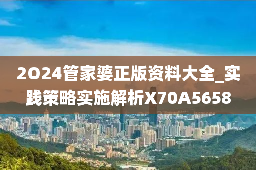 2O24管家婆正版资料大全_实践策略实施解析X70A5658