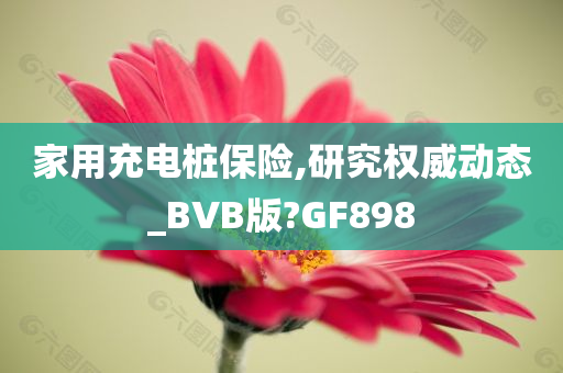 家用充电桩保险,研究权威动态_BVB版?GF898