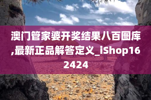 澳门管家婆开奖结果八百图库,最新正品解答定义_iShop162424