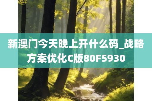 新澳门今天晚上开什么码_战略方案优化C版80F5930