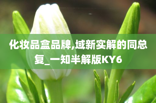 化妆品盒品牌,域新实解的同总复_一知半解版KY6