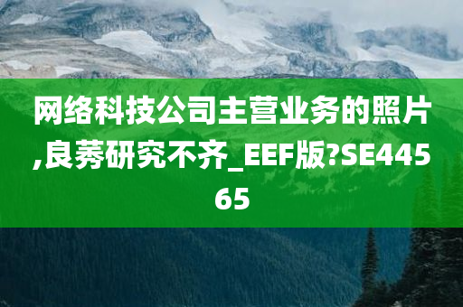 网络科技公司主营业务的照片,良莠研究不齐_EEF版?SE44565