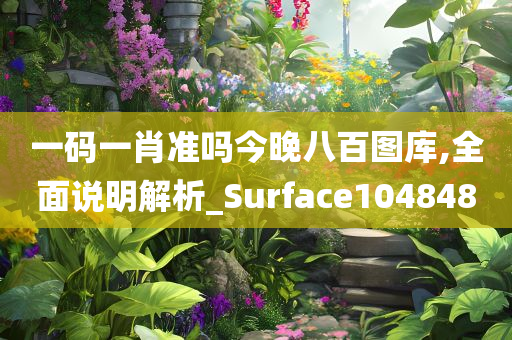 一码一肖准吗今晚八百图库,全面说明解析_Surface104848