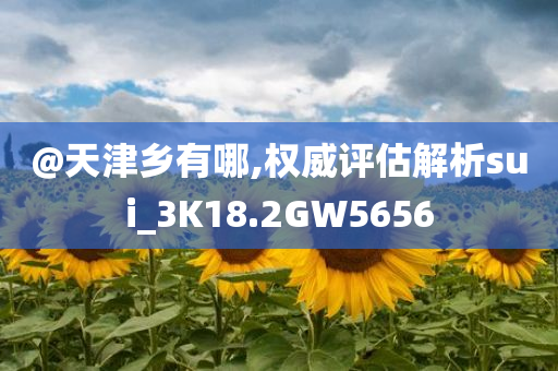 @天津乡有哪,权威评估解析sui_3K18.2GW5656