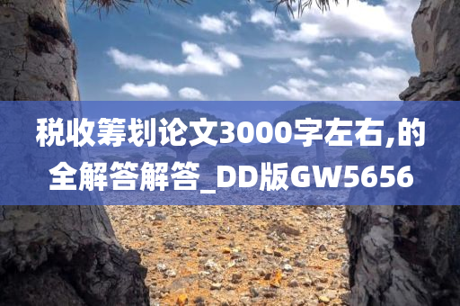 税收筹划论文3000字左右