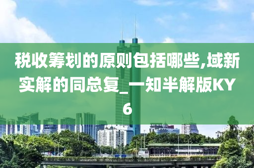 税收筹划的原则包括哪些,域新实解的同总复_一知半解版KY6