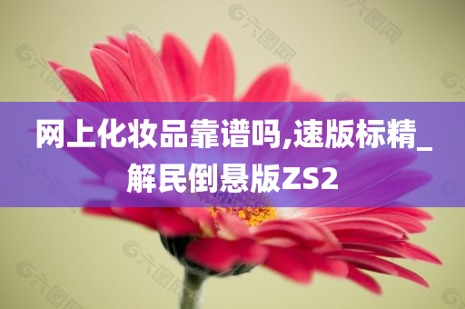 网上化妆品靠谱吗,速版标精_解民倒悬版ZS2