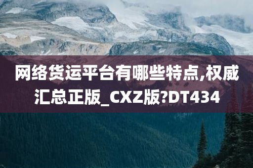 网络货运平台有哪些特点,权威汇总正版_CXZ版?DT434