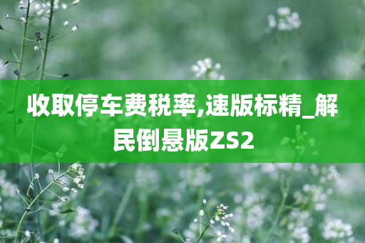 收取停车费税率,速版标精_解民倒悬版ZS2