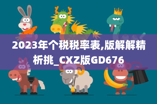 2023年个税税率表,版解解精析挑_CXZ版GD676