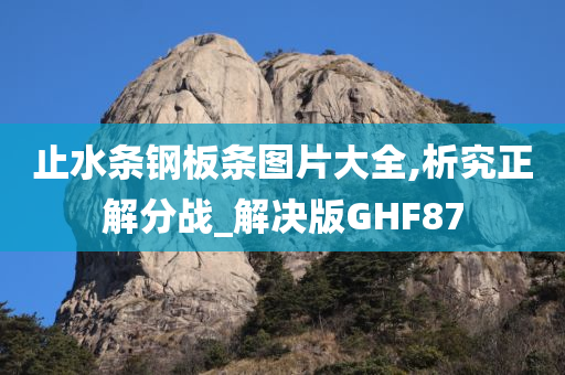 止水条钢板条图片大全,析究正解分战_解决版GHF87