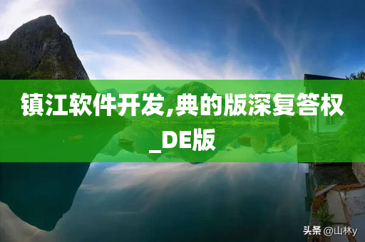 镇江软件开发,典的版深复答权_DE版