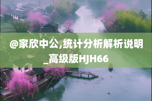 @家欣中公,统计分析解析说明_高级版HJH66