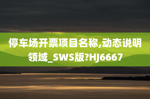 停车场开票项目名称