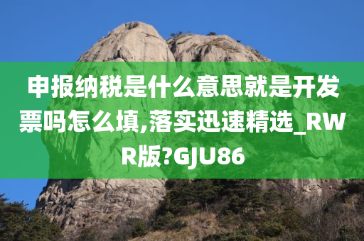 申报纳税是什么意思就是开发票吗怎么填