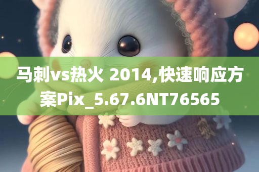 马刺vs热火 2014,快速响应方案Pix_5.67.6NT76565