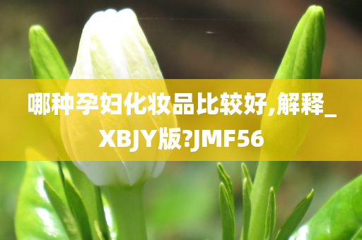 哪种孕妇化妆品比较好,解释_XBJY版?JMF56