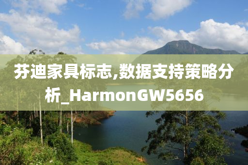 芬迪家具标志,数据支持策略分析_HarmonGW5656