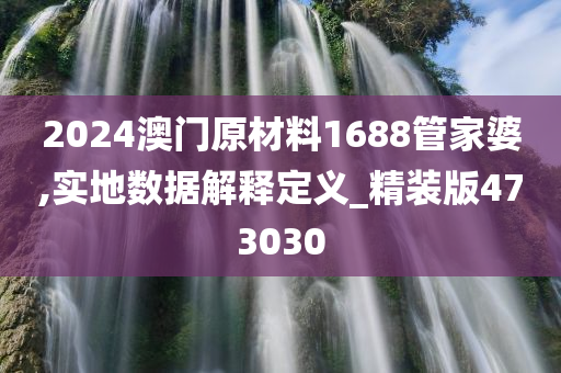 2024澳门原材料1688管家婆,实地数据解释定义_精装版473030