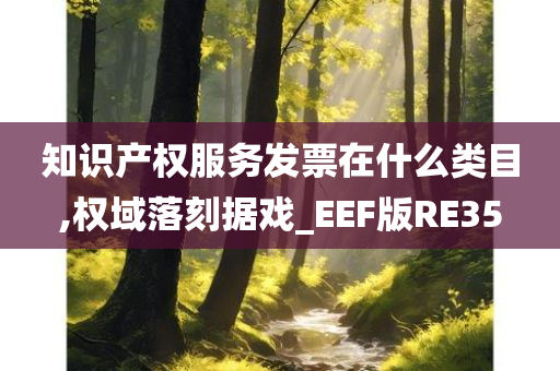 知识产权服务发票在什么类目,权域落刻据戏_EEF版RE35