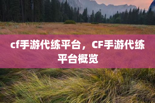 cf手游代练平台，CF手游代练平台概览