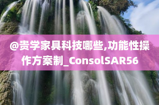 @贵学家具科技哪些,功能性操作方案制_ConsolSAR56