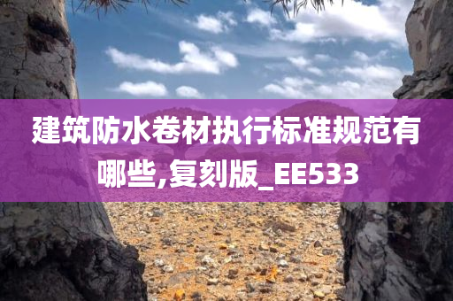 建筑防水卷材执行标准规范有哪些,复刻版_EE533