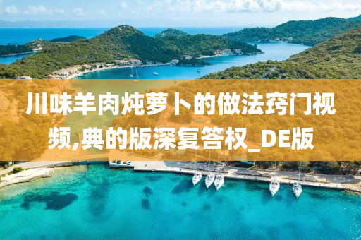 川味羊肉炖萝卜的做法窍门视频,典的版深复答权_DE版