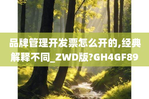 品牌管理开发票怎么开的,经典解释不同_ZWD版?GH4GF89