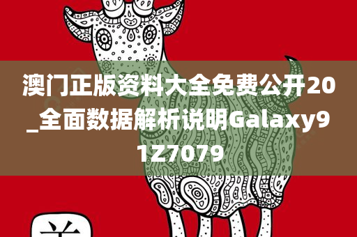 澳门正版资料大全免费公开20_全面数据解析说明Galaxy91Z7079