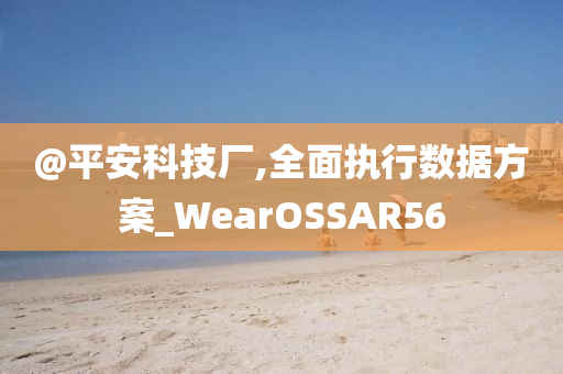 @平安科技厂,全面执行数据方案_WearOSSAR56