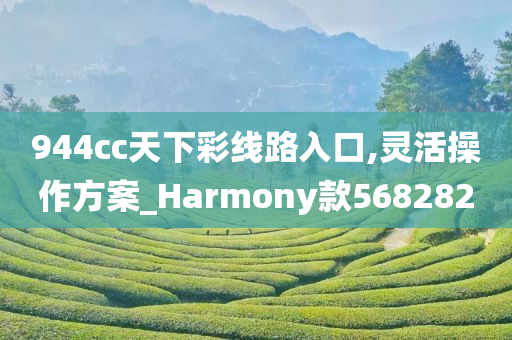 944cc天下彩线路入口,灵活操作方案_Harmony款568282