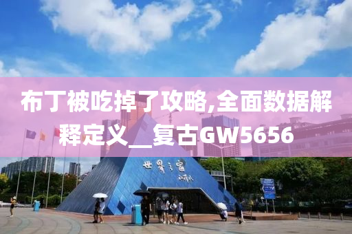 布丁被吃掉了攻略,全面数据解释定义__复古GW5656