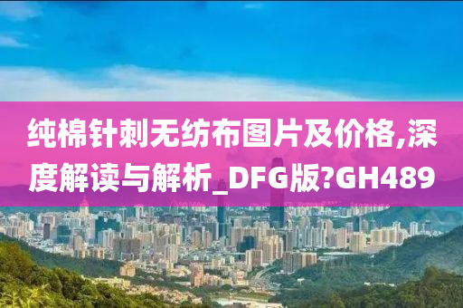 纯棉针刺无纺布图片及价格,深度解读与解析_DFG版?GH489