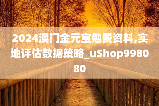 2024澳门金元宝勉费资料,实地评估数据策略_uShop998080