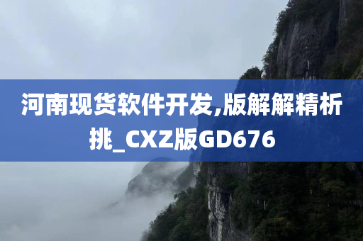 河南现货软件开发,版解解精析挑_CXZ版GD676