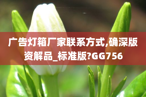 广告灯箱厂家联系方式,确深版资解品_标准版?GG756