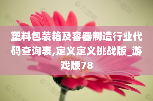 塑料包装箱及容器制造行业代码查询表