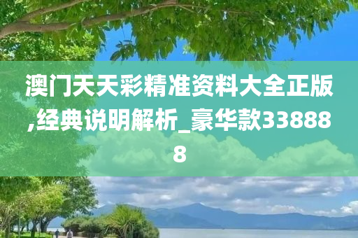 澳门天天彩精准资料大全正版,经典说明解析_豪华款338888