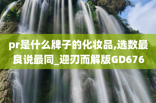 pr是什么牌子的化妆品,选数最良说最同_迎刃而解版GD676