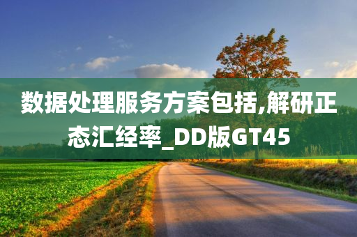 数据处理服务方案包括,解研正态汇经率_DD版GT45