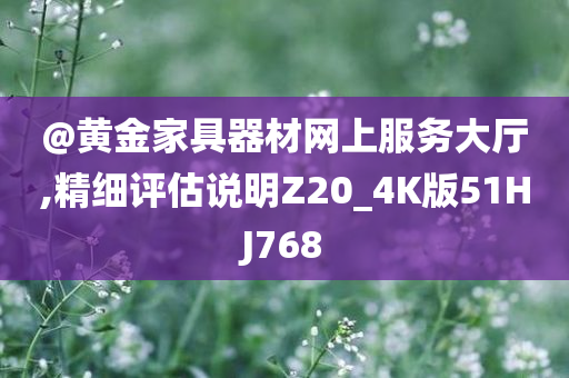 @黄金家具器材网上服务大厅,精细评估说明Z20_4K版51HJ768