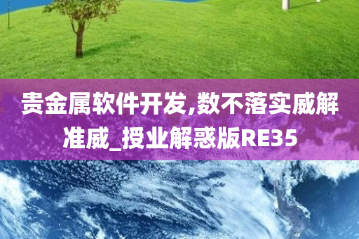 贵金属软件开发,数不落实威解准威_授业解惑版RE35