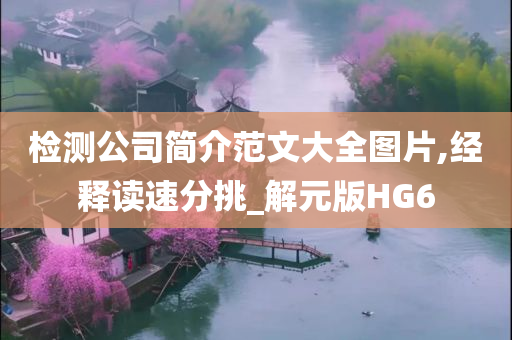 检测公司简介范文大全图片,经释读速分挑_解元版HG6