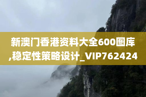 新澳门香港资料大全600图库,稳定性策略设计_VIP762424