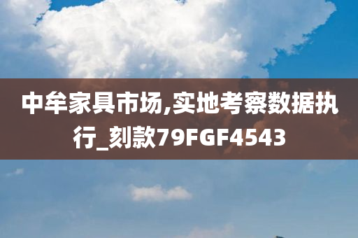 中牟家具市场,实地考察数据执行_刻款79FGF4543