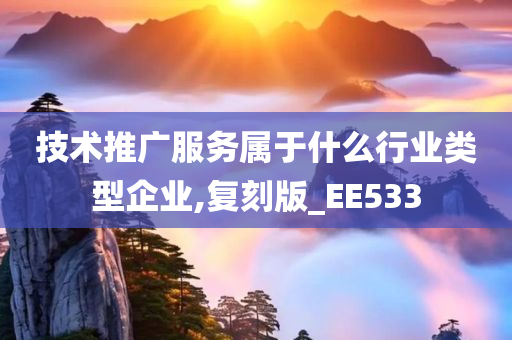 技术推广服务属于什么行业类型企业,复刻版_EE533