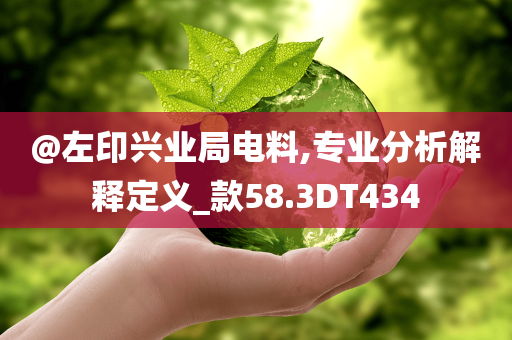 @左印兴业局电料,专业分析解释定义_款58.3DT434